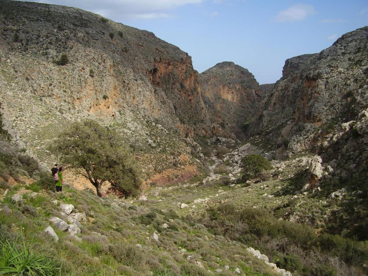 Villa Aggel'S House - Stone House - Private Pool - Courtyard - Countryside Views Kato Episkopi Exterior foto